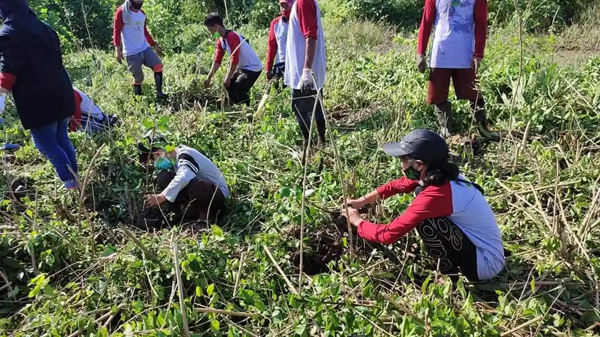 Hari Keanekaragaman Hayati Internasional, Balai TNK Bontang Tanam 2.021 Bibit Mangrove 