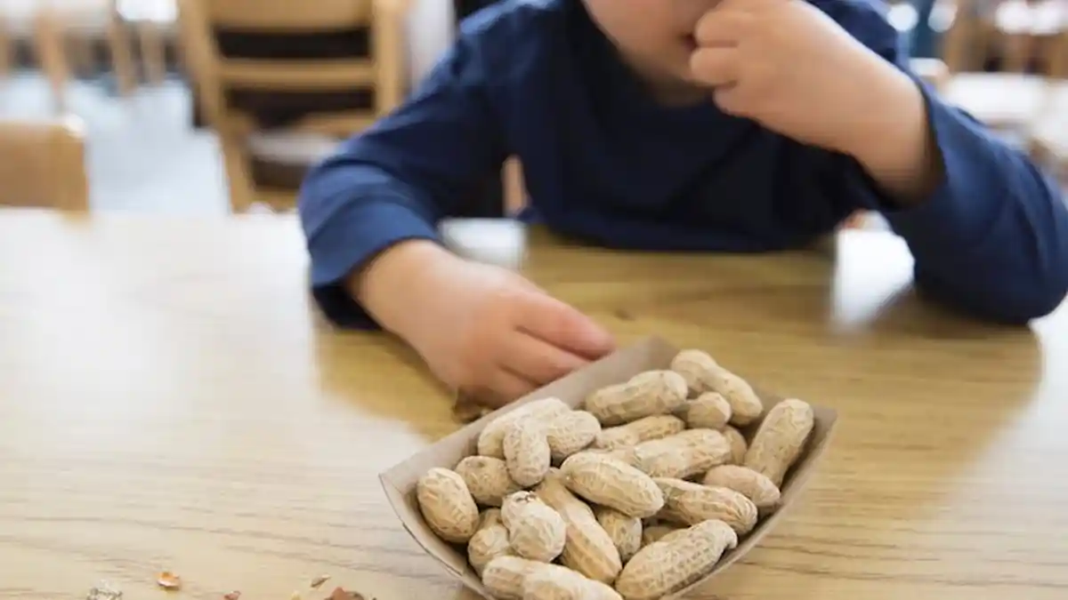 Kenapa Mengkonsumsi Kacang Almond Harus Dibatasi?