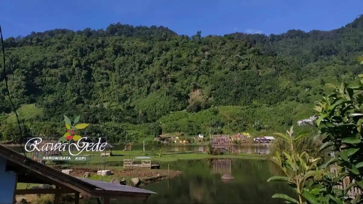 Bersantai Sejenak, Menikmati Keindahan Alam dan Secangkir Kopi Robusta di Pinggir Situ Rawa Gede