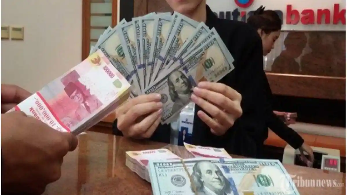 500 Dolar Berapa Rupiah, Cek Nilai Tukar Kurs Dolar Hari Ini Jumat 21 Juni 2024 di Link Berikut