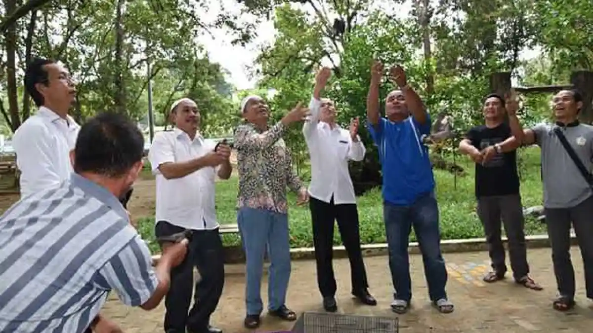 Pelepasan Burung ke Alam Bebas Menjaga Kelestarian Hewan Asli Bangka