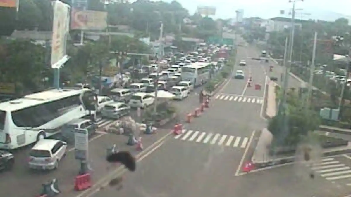 Jalur Puncak Pagi Ini Macet Parah, Antrean Kendaraan Hingga 4 KM