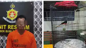 MALING-BURUNG-Pelaku-pencurian-burung-berinisial-RU.jpg