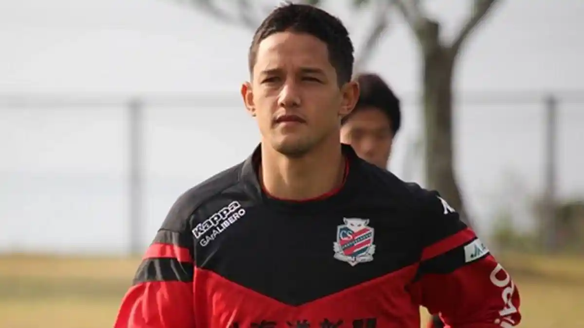 Persija Jakarta Incar Stefano Lilipaly dan Irfan Bachdim