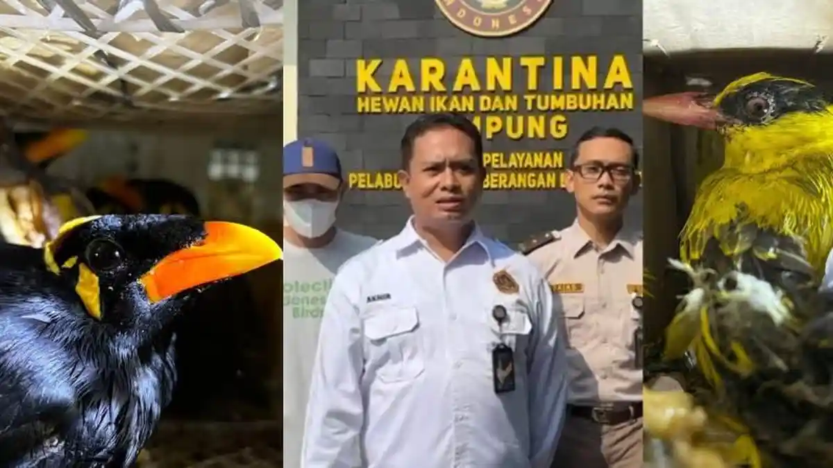 Karantina Lampung Gagalkan Pengiriman 198 Burung Tanpa Dokumen