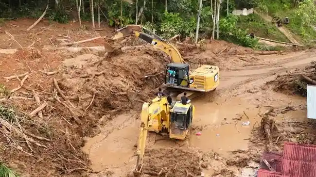 Pemerintah Didorong Bentuk Satgas Rehabilitasi dan Rekonstruksi Guna Percepatan Pemulihan Sumatera