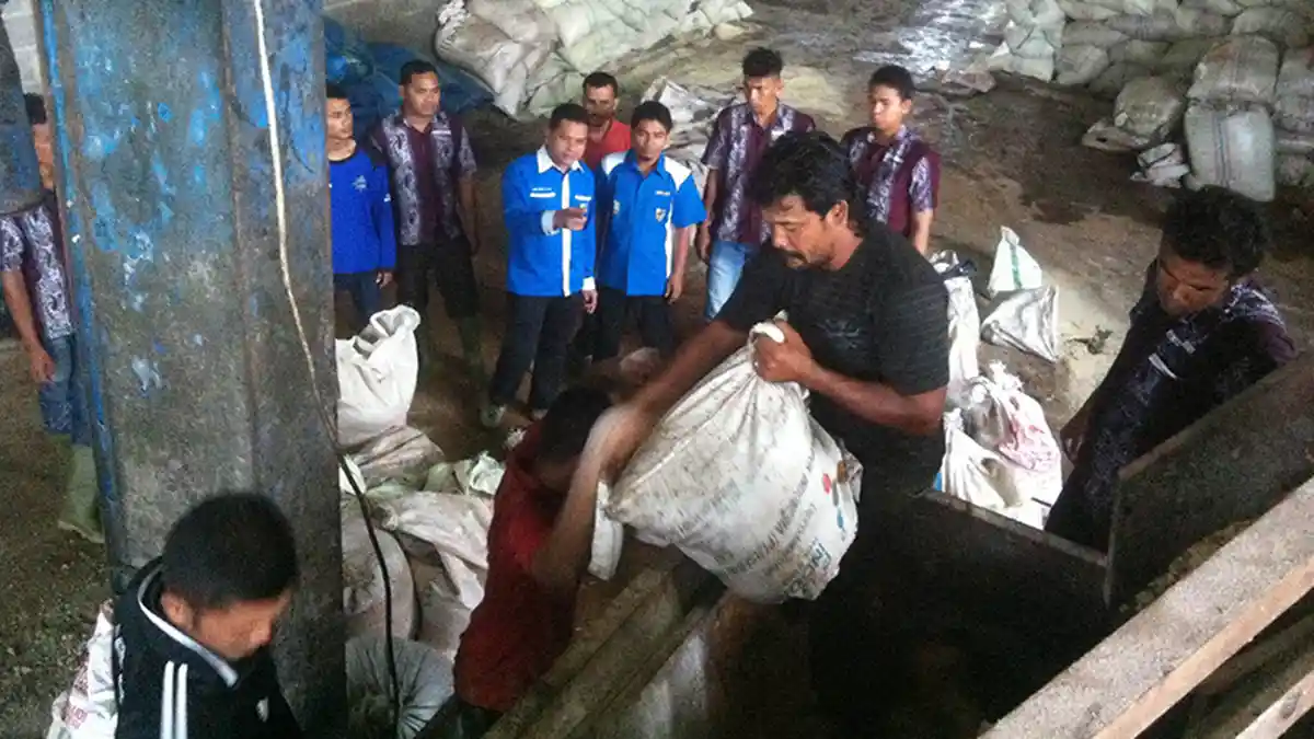 Pemuda Aceh Dilatih Cara Pengemukan Sapi