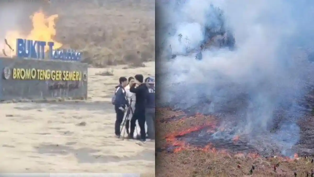 Lebih Ringan dari Tuntutan JPU, Pembakar Padang Sabana Gunung Bromo Divonis 2,5 Tahun Penjara