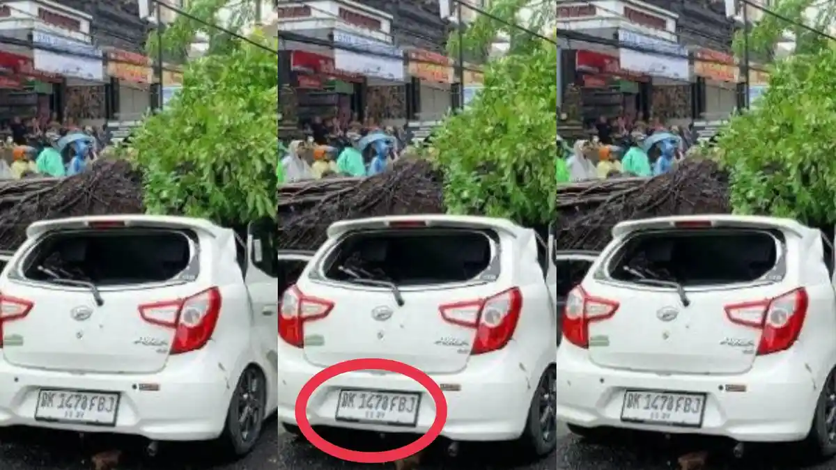 PERTEMUAN TERAKHIR Kevin dan Ibunda di Jalan Raya Kuta, Kecelakaan Tragis Setelah Pohon Tumbang