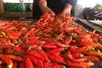 cabai-rawit-setan-naik.jpg