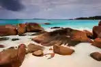seychelles.jpg