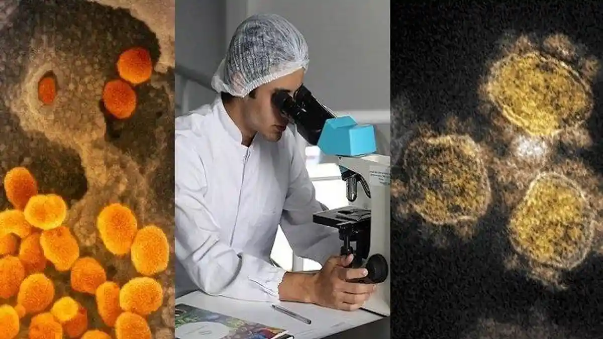 Metode Pengobatan China Atasi Pasien Virus Corona, 85 Persen Pasien Sembuh karena Obat Tradisional