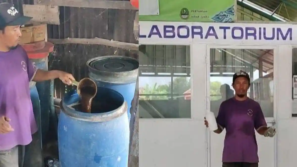 Kisah Rojai Lulusan Aliyah Petani Sukses di Cirebon, 