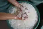 Permintaan Kolang-kaling Meningkat Jelang Ramadhan