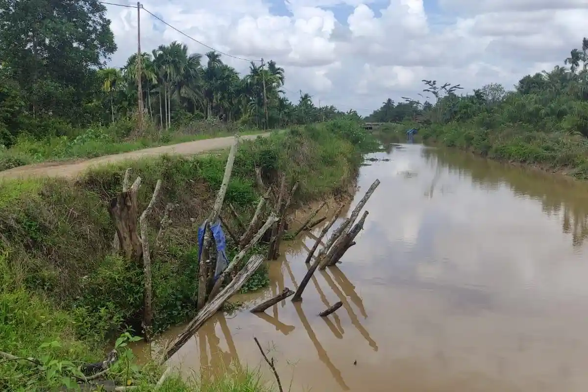 Abrasi Sungai Rantau Makmur Tanjabtim Memakan Badan Jalan