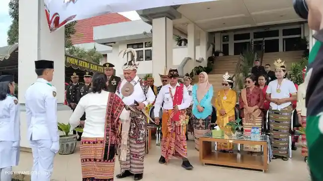 Tribun