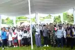 Perkebunan-Bukit-Lawang.jpg