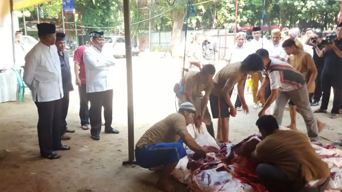 Polda Metro Jaya Kurban 81 Sapi dan 51 Kambing