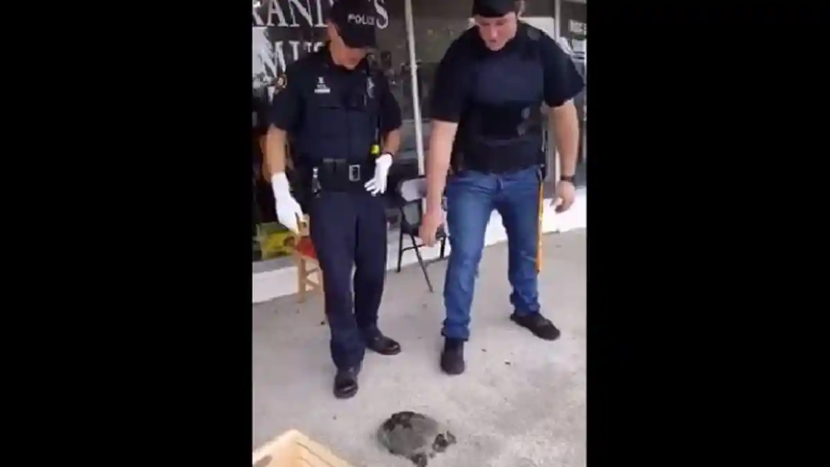 Kocak! Polisi Ini Loncat-loncat Hanya Karena Seekor Kura-kura, Lihat Videonya!