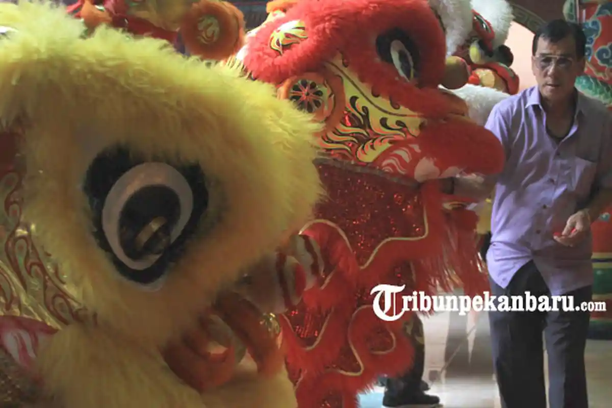 FOTO: Atraksi Barongsai Meriahkan Perayaan Imlek 2570 - foto_atraksi_barongsai_meriahkan_perayaan_imlek_2.jpg
