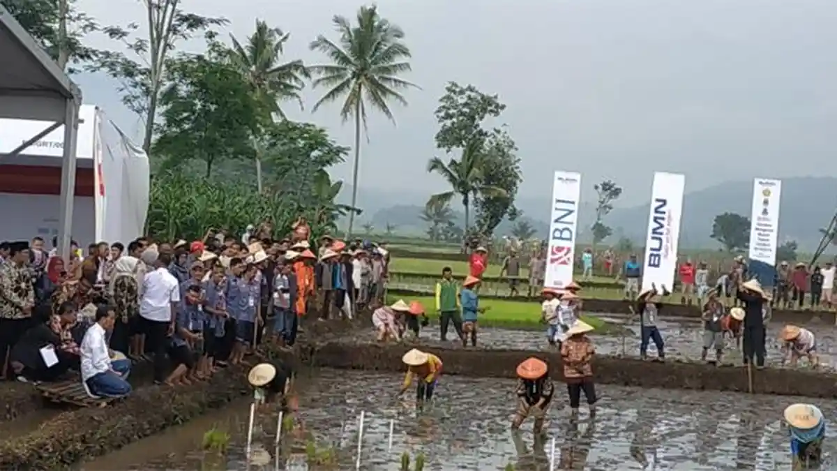 Pagi-pagi di Garut, Jokowi sudah Main ke Sawah