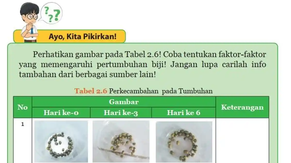 Kunci Jawaban IPA Kelas 9 Semester 1 Halaman 76, Ayo Kita Pikirkan: Faktor-faktor Pertumbuhan Biji