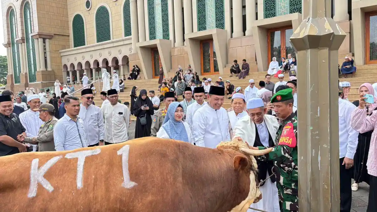 21 Sapi Kurban Diserahkan Wagub Kaltim di Idul Adha 2025, Seno Aji: Non Muslim Juga Bisa Menerima