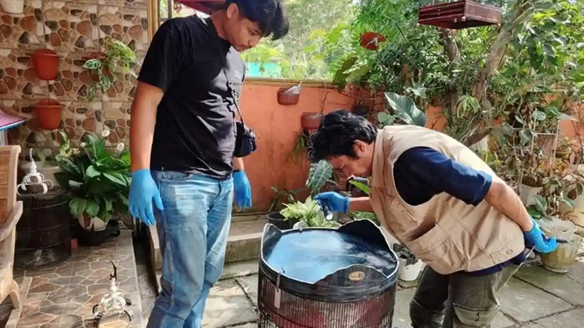 4 Burung Peliharaan Warga di Panjatan Kulon Progo Raib Diduga Dicuri Orang Tak Dikenal