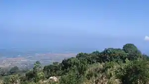 Potret-kawasan-hutan-Desa-Puncak-Jeringo-Lombok-Timur.jpg