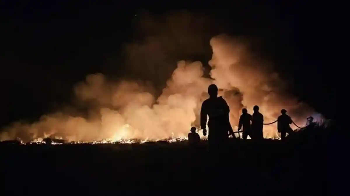 Air di Area Lahan Gambut di Banjarbaru Mulai Kering Akibat Kemarau, Karhutla Makin Sering Terjadi - Banjarmasinpost.co.id