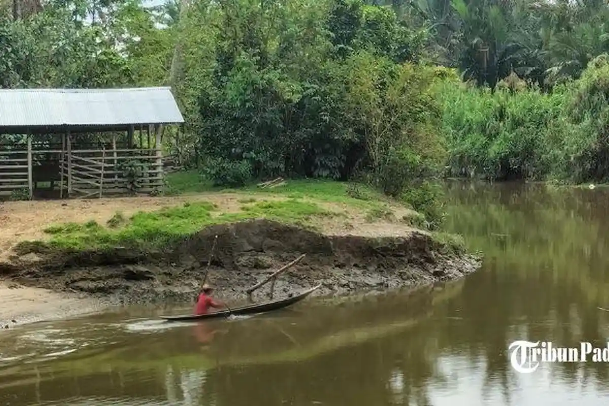 Harmoni Bahasa dan Hati: Refleksi Budaya Tutur Masyarakat Mentawai