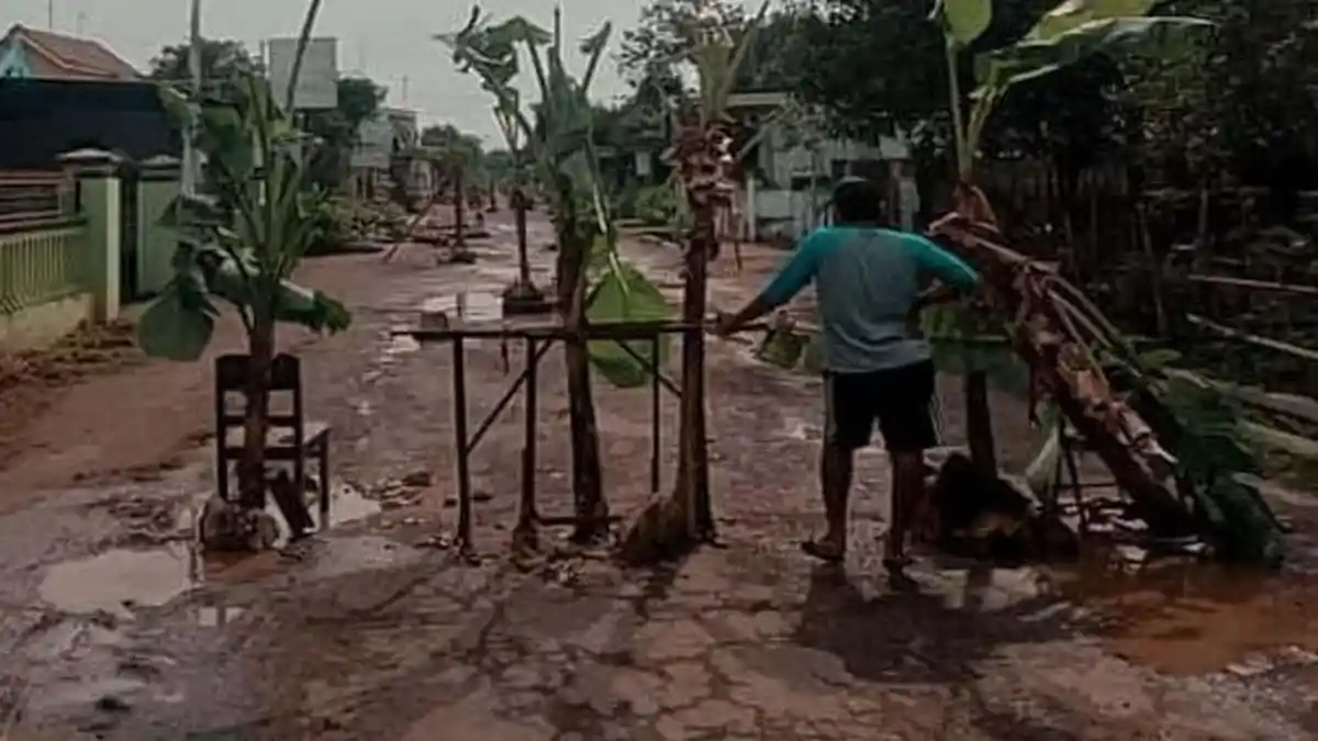 Warga Blokade Jalan Tanam Pohon Pisang Gara-gara Kondisi Jalan Rusak Parah, Pak Kades Kaget