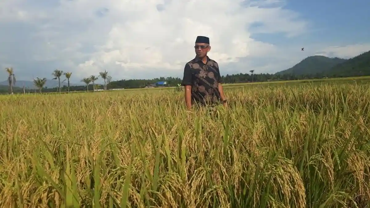 Weekend, Bupati Luwu Timur Sambangi Petani di Angkona