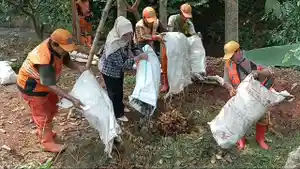 Sampah-Cipayung-daun.jpg