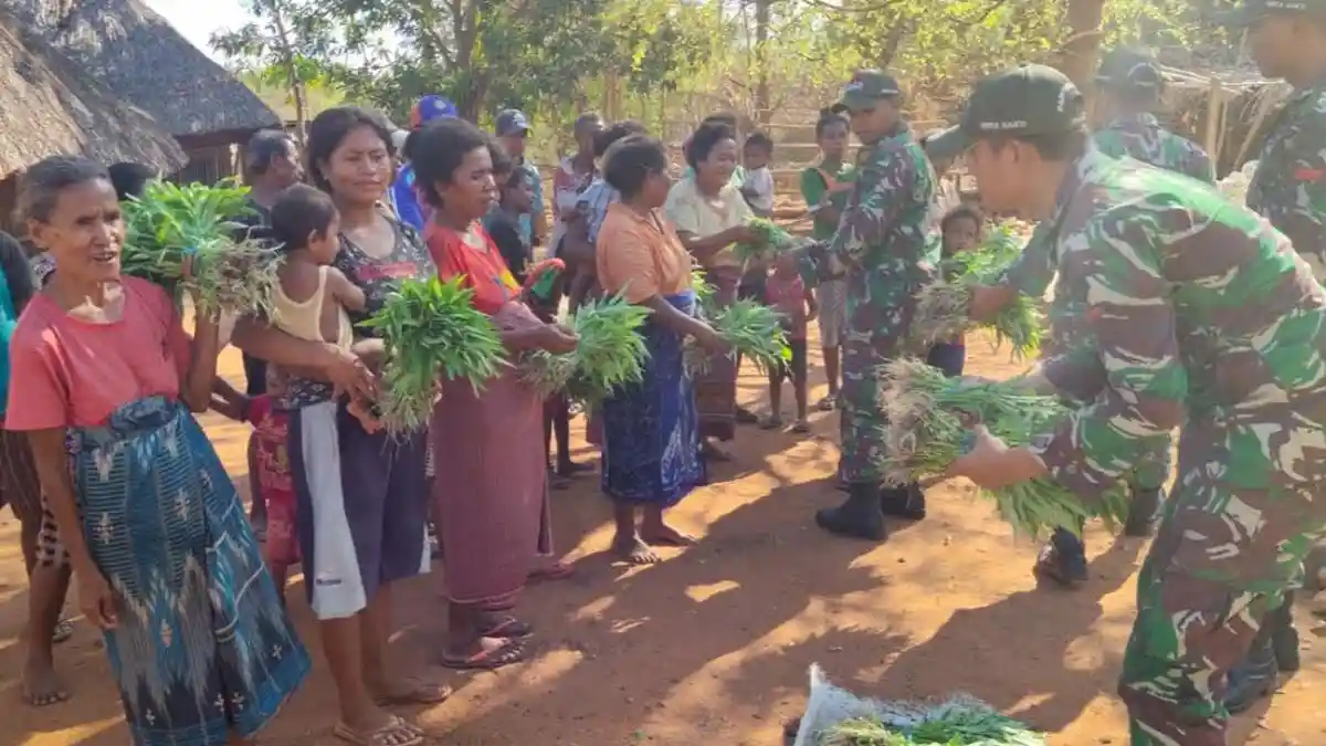 Hasil Panen Melimpah, Satgas Yonif 132/BS Bagikan Sayur ke Masyarakat di Perbatasan