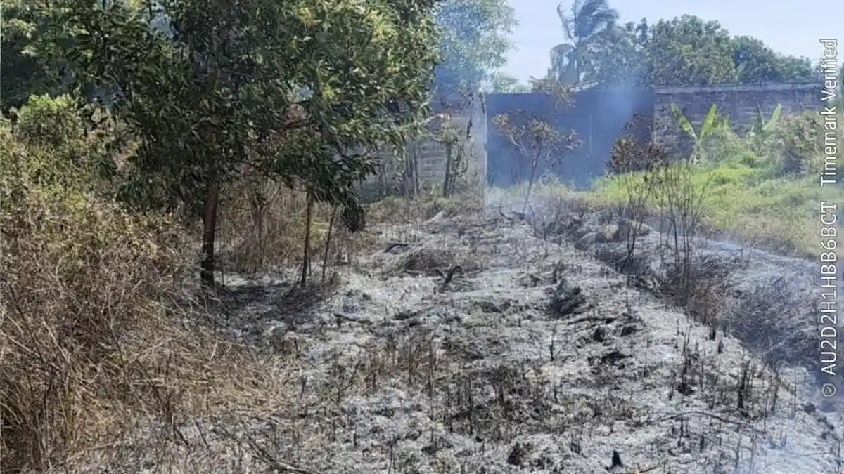 Lahan Hangus Diduga Sengaja Dibakar, Damkar Bangka Ingatkan Denda Rp 5 Miliar
