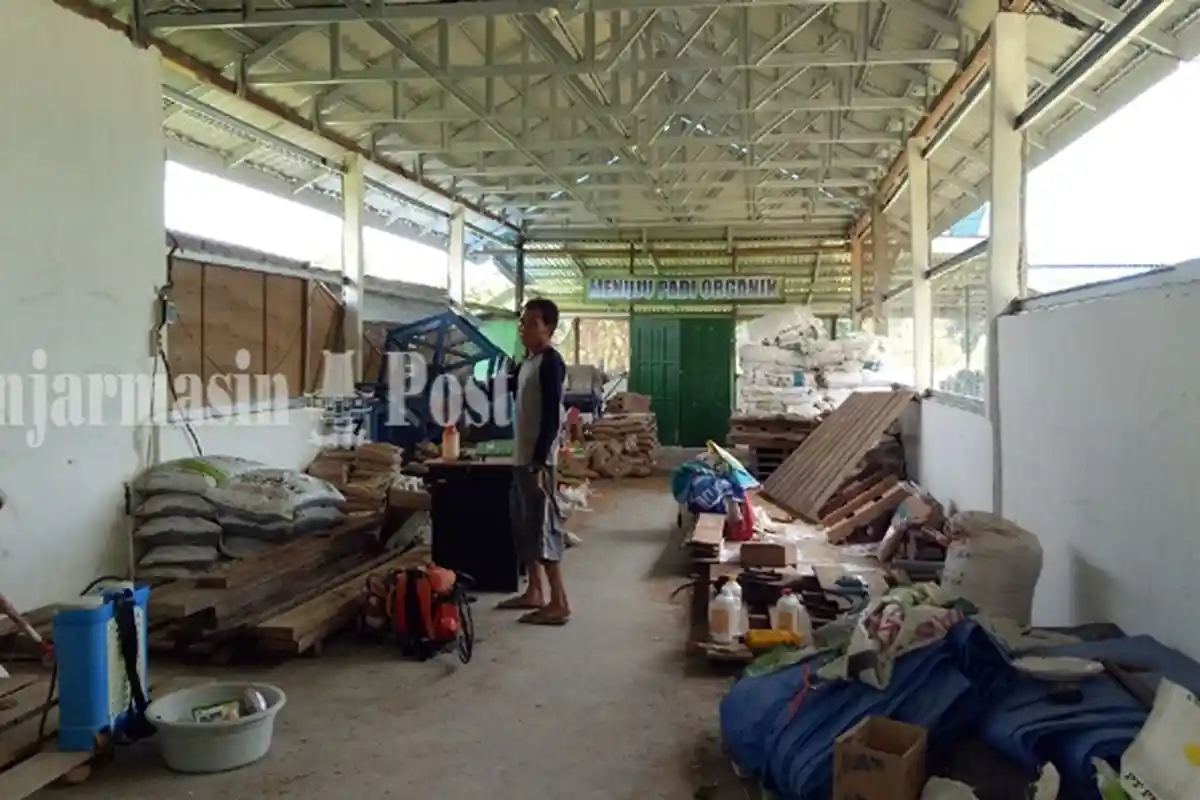 Cara Petani Desa Gambah Dalam di HSS Hilangkan Ketergantungan Pakai Pupuk Kimia, Ini Kiat Mereka