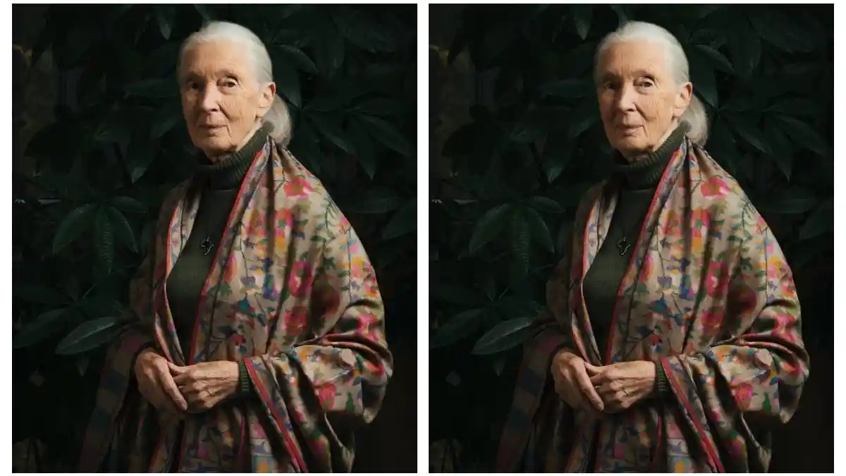 Mengenang Sosok Jane Goodall, Ahli Primata dan Konservasionis yang Pernah Jadi Utusan Perdamaian PBB