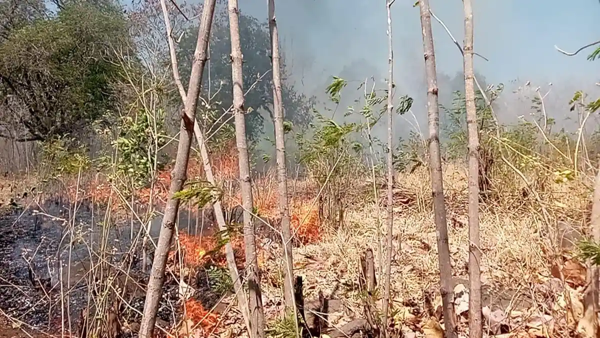 Peralihan Musim, Waspada Angin Kencang yang Berpotensi Sebabkan Karhutla di NTT