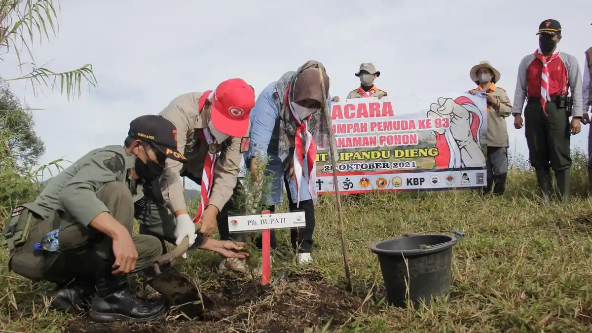 Cegah Bencana Lebih Besar, 500 Bibit Bintamin dan Akasia Ditanam di Bukit Sipandu Dieng