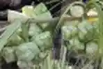 Pedagang Kulit Ketupat