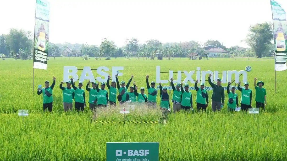 Atasi Gulma Resisten, BASF Luncurkan Herbisida Baru untuk Petani Padi