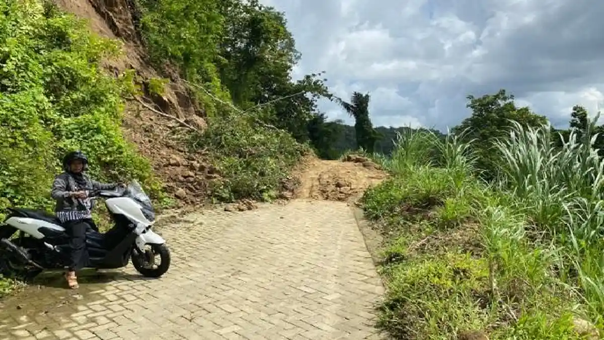 BREAKING NEWS: Tebing 20 Meter Longsor di Kampala Sinjai Sulsel, Akses Jalan Terputus