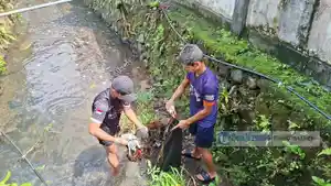 kegiatan-Aksi-Bersih-Lingkungan-yang-digelar-di-Kabupaten-Kepulauan-Sangihe.jpg