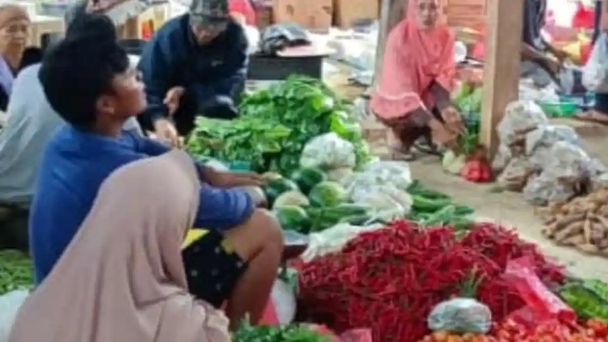 Pasca Lebaran Harga Cabai Merah di Pesisir Barat Lampung Rp 25 Ribu per Kg