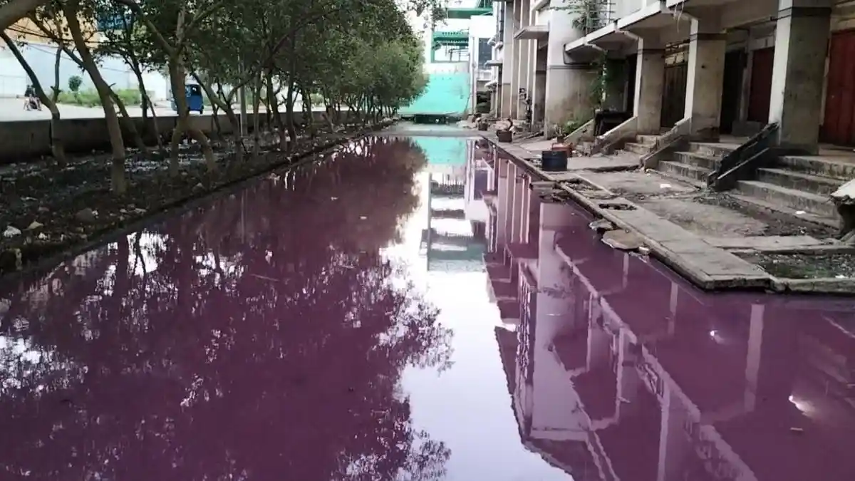 Banjir Berwarna Ungu Rendam Jalanan Akses Ruko di Pelabuhan Muara Baru ...