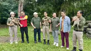 Tiga-harimau-benggala-lahir-di-Taman-Safari-Indonesia-Prigen.jpg