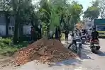 Jalan-Cepu-Randublatung-Blora-Ahmad-Luthfi.jpg