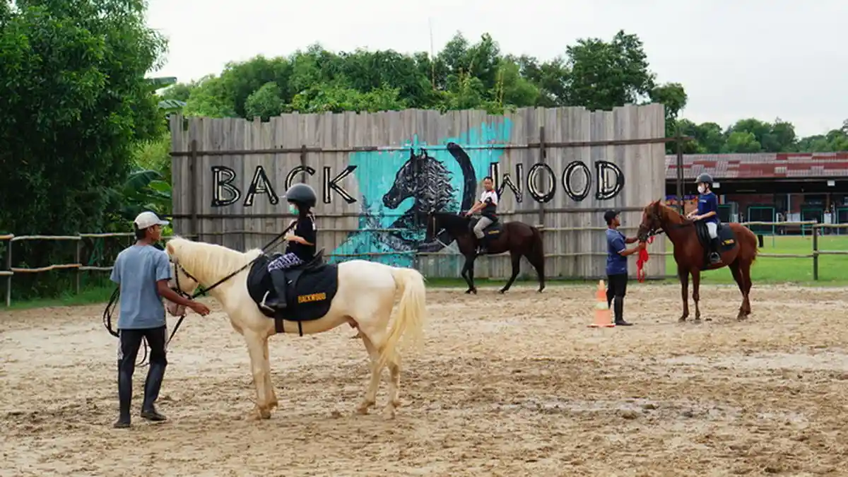 Lagi Tren Berkuda, Jajal Yuk Kelas Fun Riding di Backwood Horse Riding ...