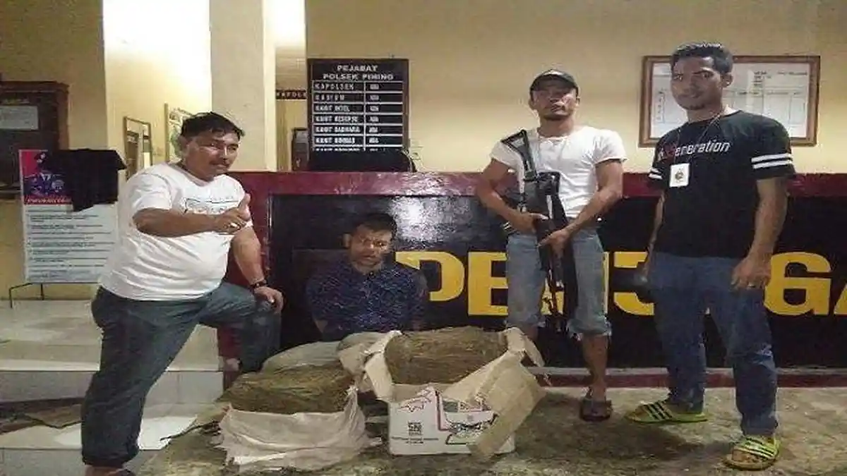 Ganja Kering Seberat 10,6 Kg Dikemas dalam Kardus